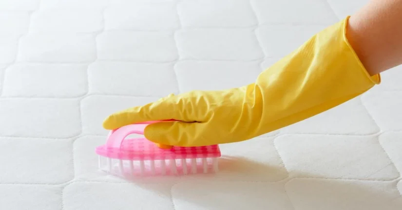 Segundo paso: limpieza preliminar