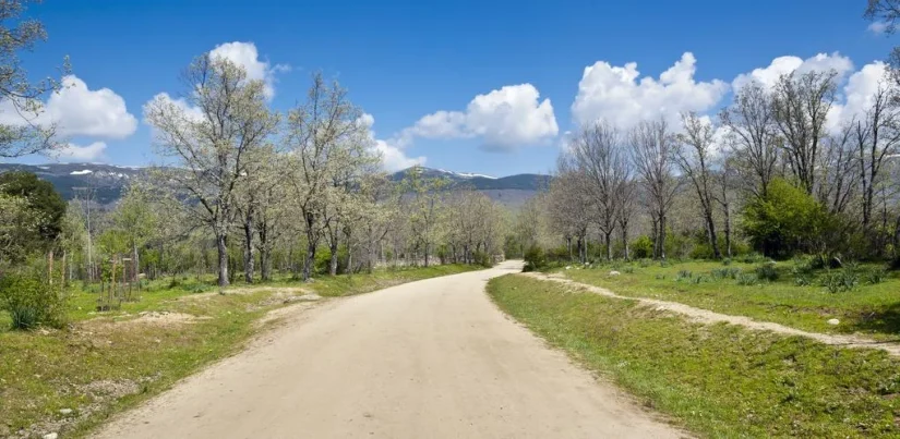 El pueblo a menos de una hora de Madrid donde disfrutar de un patrimonio cultural fuera de lo común 64 Merca2.es Si vas en coche