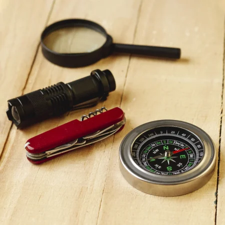 Las brújulas y la fuerza magnética