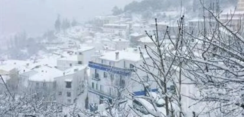El papel que juega cambio climático en estos fenómenos