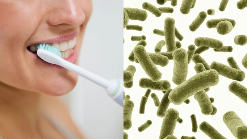 No dejes nunca el cepillo de dientes en este sitio, es por tu propia salud 133 Merca2.es Consejos para mantener el cepillo de dientes seguro y limpio