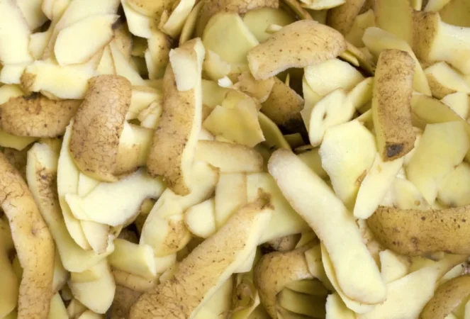 Usa la piel de las patatas en tu jardín como compost y como fertilizante