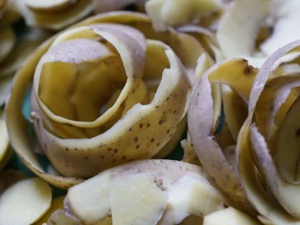 7. Absorbe los residuos químicos