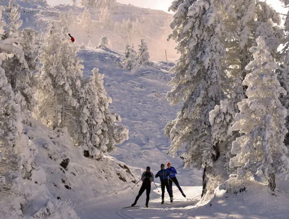 Actividades en Tudela durante el invierno: