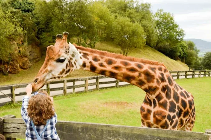 Consejos para visitantes