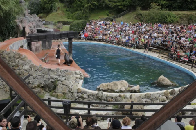 No se trata solo de un simple parque