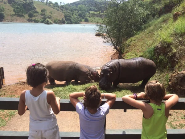 Lo que podemos hacer en el Parque de Cabárceno en Cantabria