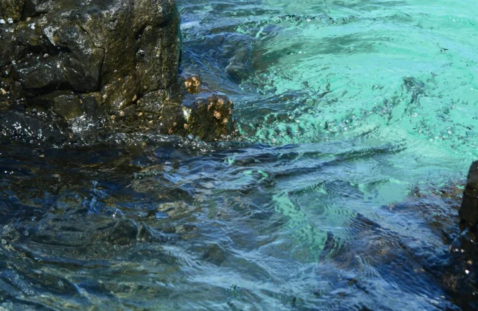 Por qué se elige el color azul para definir al día más triste del año, según la ciencia 