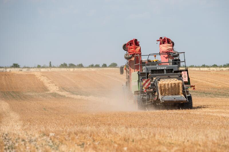El PP defiende en el Congreso que los colegios enseñen el trabajo agrícola y lo que cuesta producir alimentos