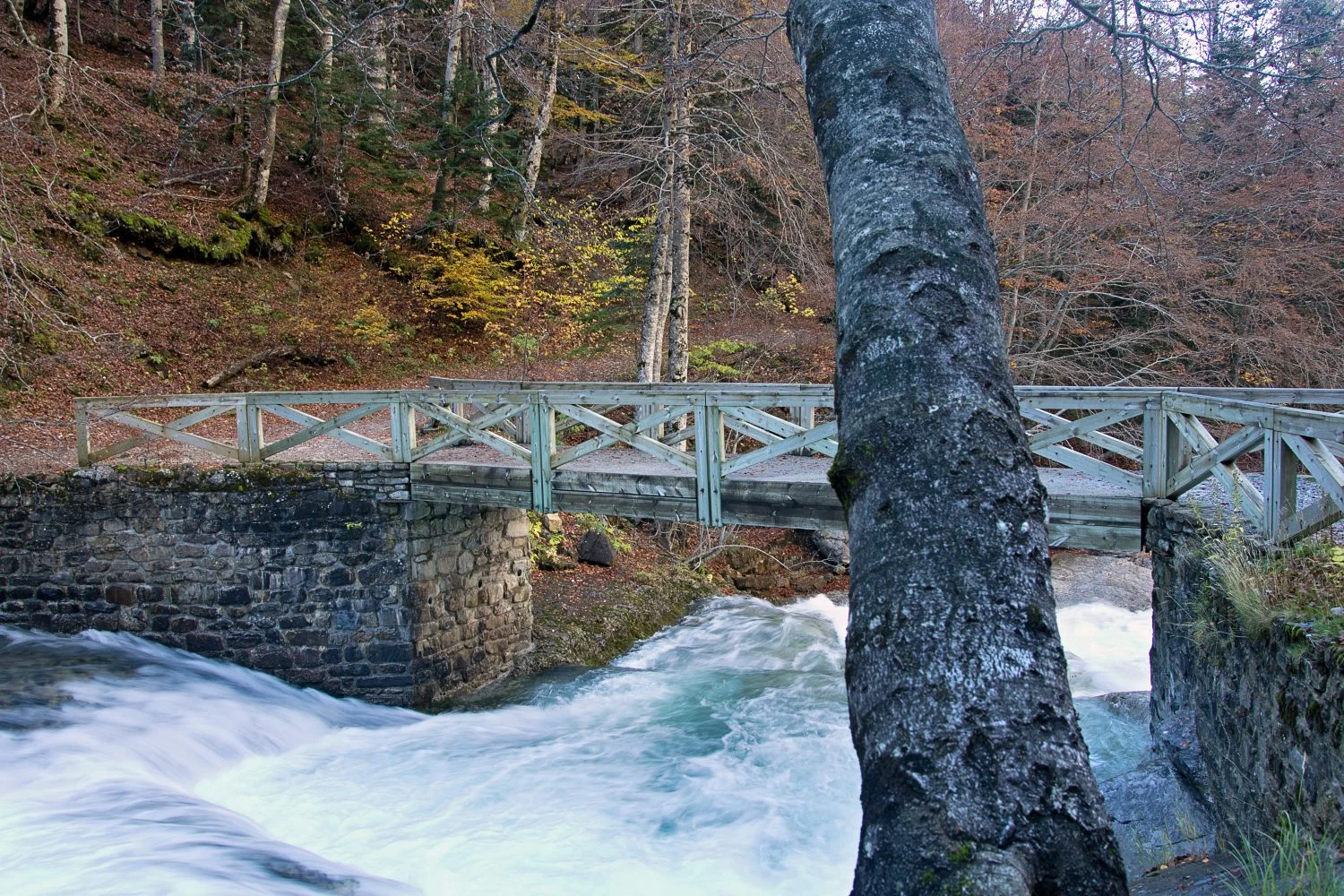 Descubre el Nacedero del Urederra en Navarra