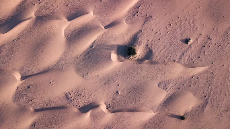 ¿Cómo se llegó a esta teoría científica?