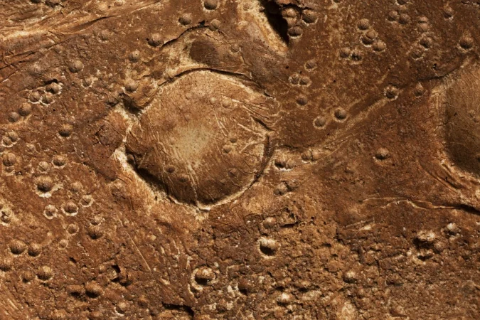 ¿Qué significa este hallazgo en la búsqueda de vida en el planeta rojo?