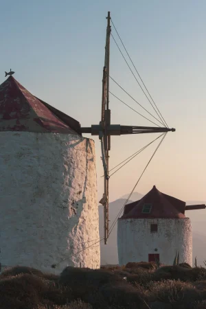 9. "Más vale tarde que nunca"