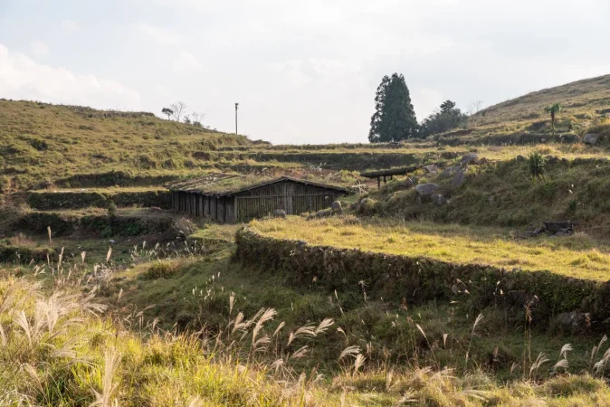 El milagro de O Cebreiro