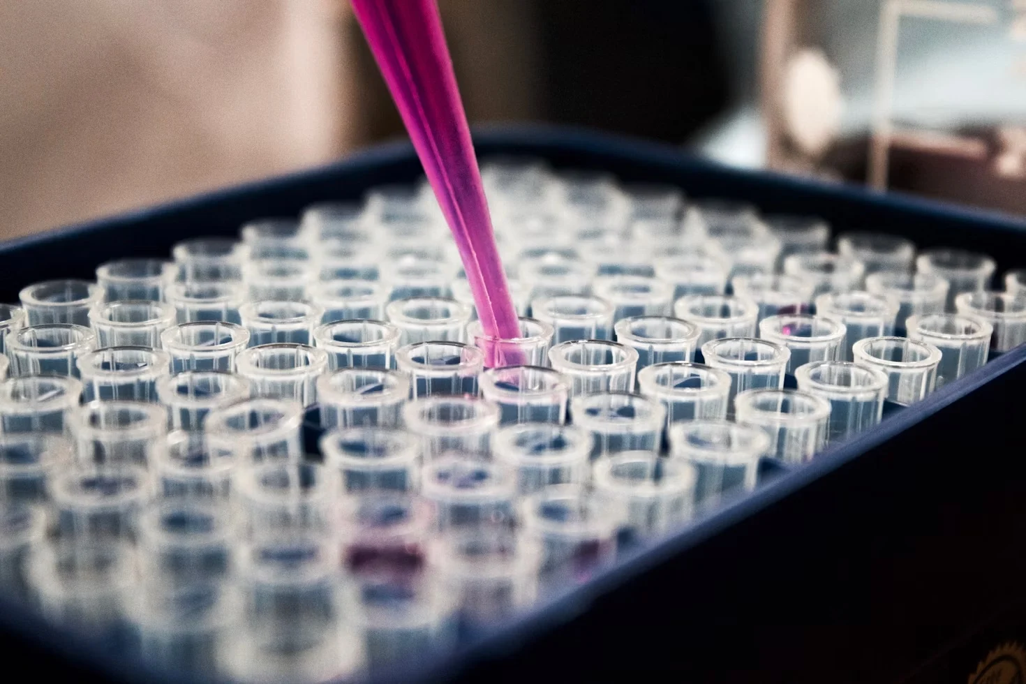 Péptido Argireline: Posibles implicaciones en la investigación dermatológica y más allá
