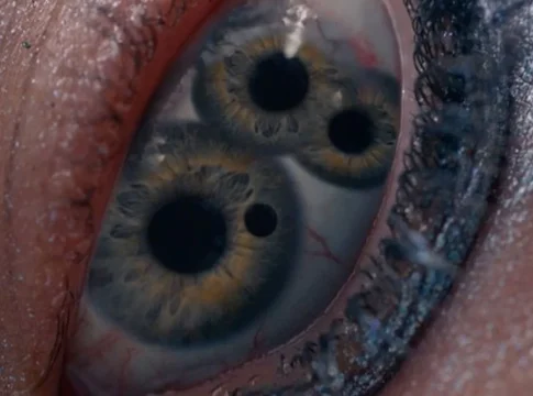 lasustanciaojomerca2portada2 La joya del terror más macabro ya está en Movistar Plus y suena para los Oscar