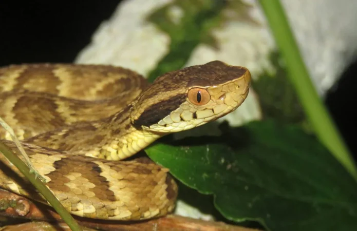 Los sitios prohibidos por fuera de Europa 