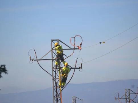 Balance avifauna (1)