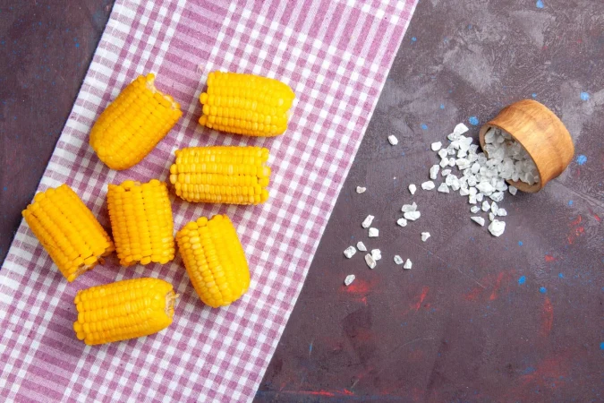 Causas de la digestión rápida o lenta