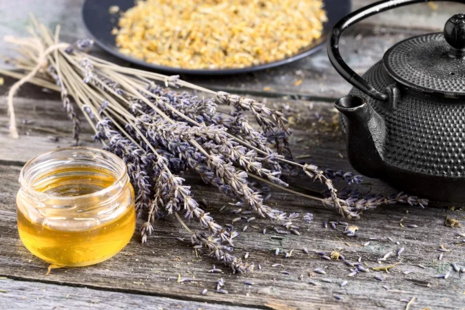 ¿Por qué la infusión de lavanda es tan efectiva para templar los nervios y mejorar la calidad del sueño?