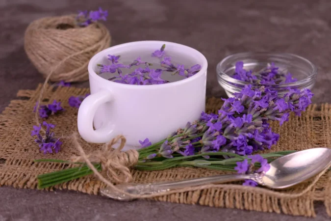 ¿Todos pueden tomar infusión de lavanda?