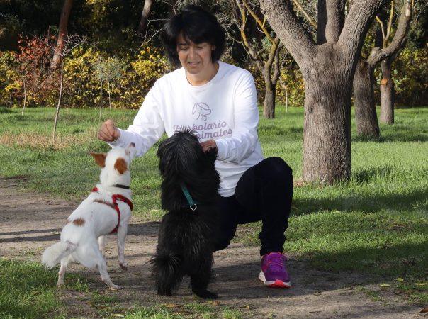 Adiestrador canino: el lenguaje que pocos saben leer