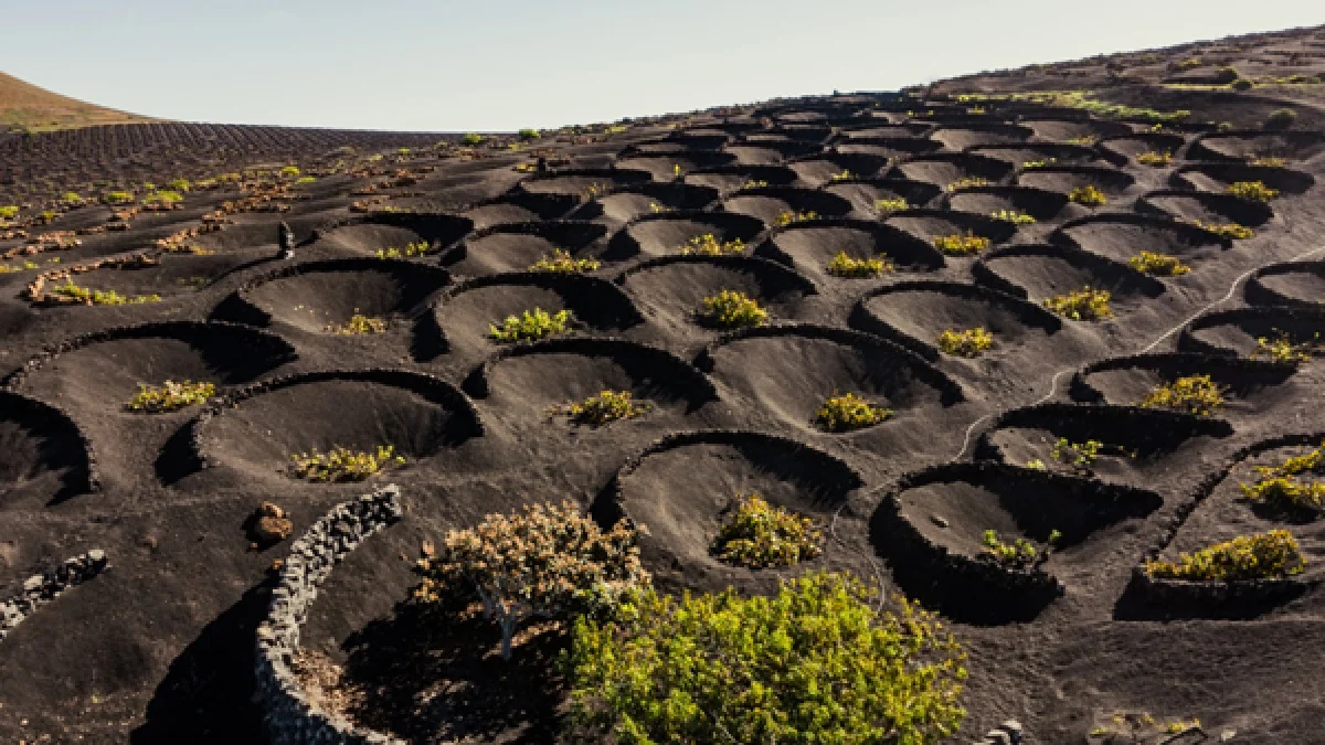 Timanfaya, el único Parque Nacional de origen volcánico en España 2 Merca2.es lanzarote 3 Merca2.es