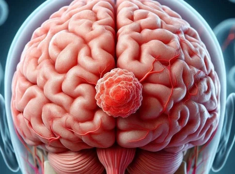 Ilustración del cerebro humano Ilustración del cerebro humano