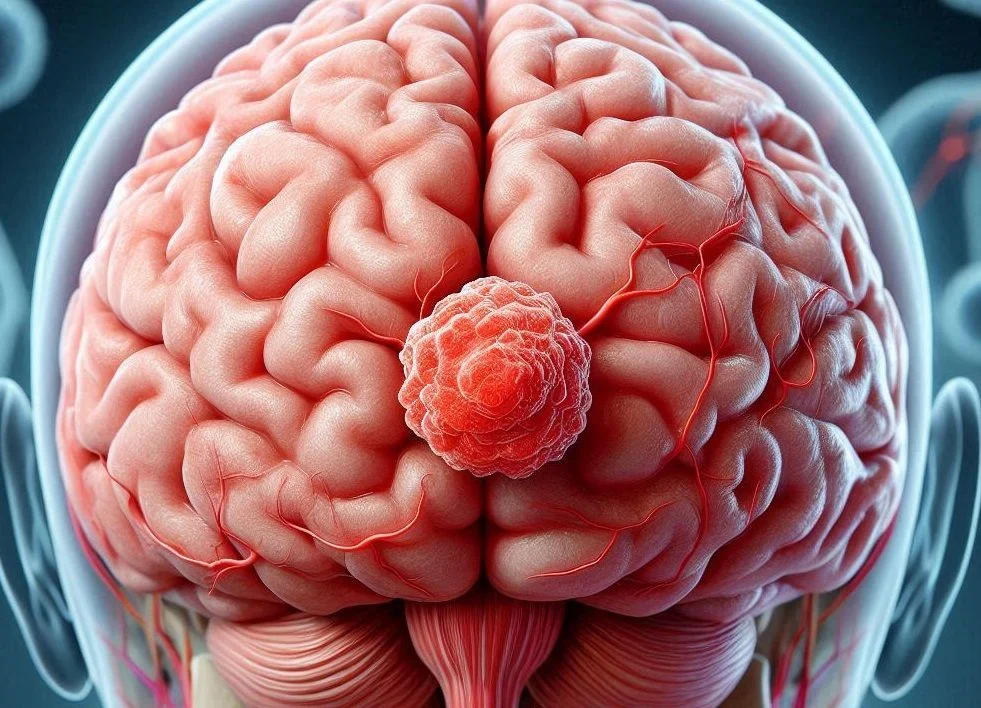 Ilustración del cerebro humano