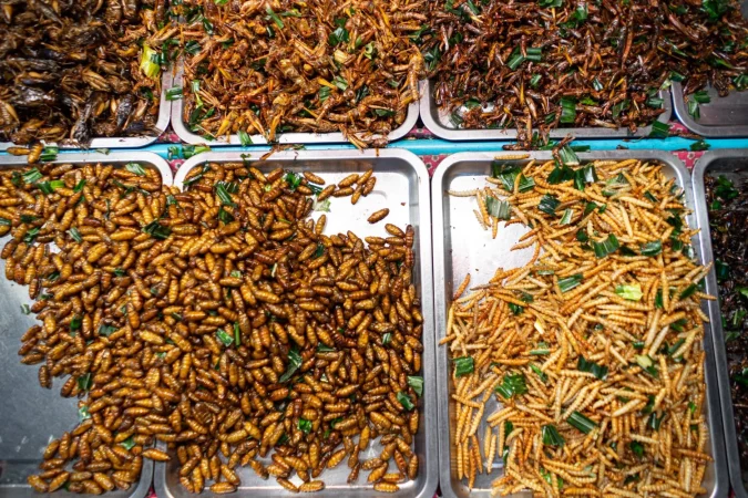 ¿Qué puedes hacer tú como consumidor?