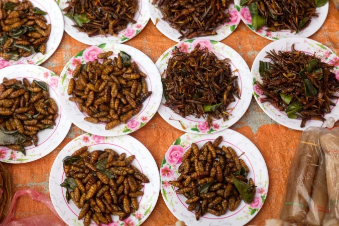 ¿Qué opinan los expertos?