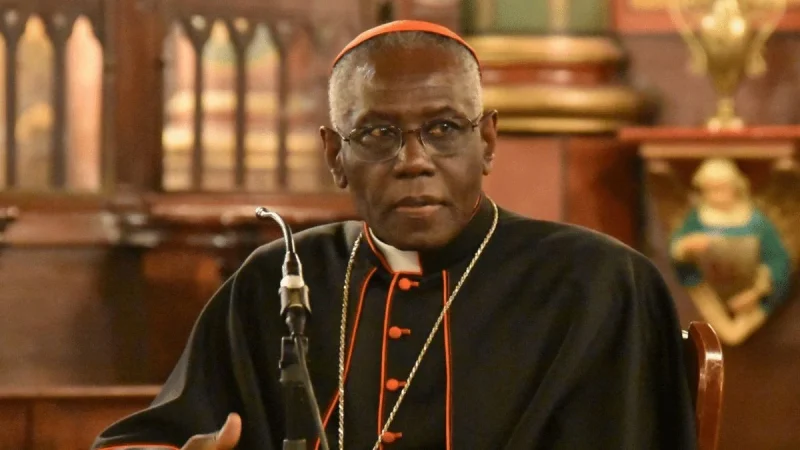 Conoce a los principales candidatos para sustituir al Papa Francisco 50 Merca2.es Robert Sarah: Experiencia africana y firmeza doctrinal