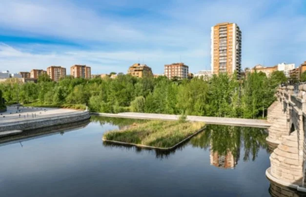 Tendencias del alquiler en Madrid: ¿qué barrios son los más demandados en 2025?