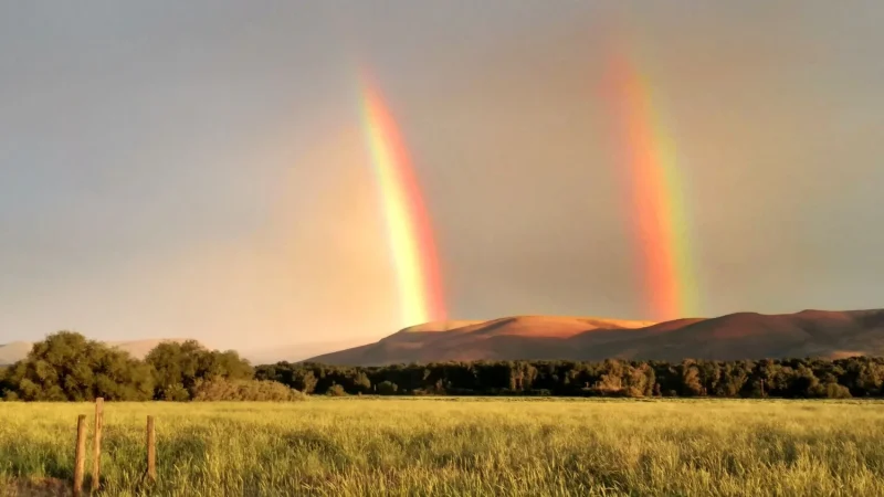 La relación entre el clima y ver cosas sus manifestaciones extrañas en la naturaleza