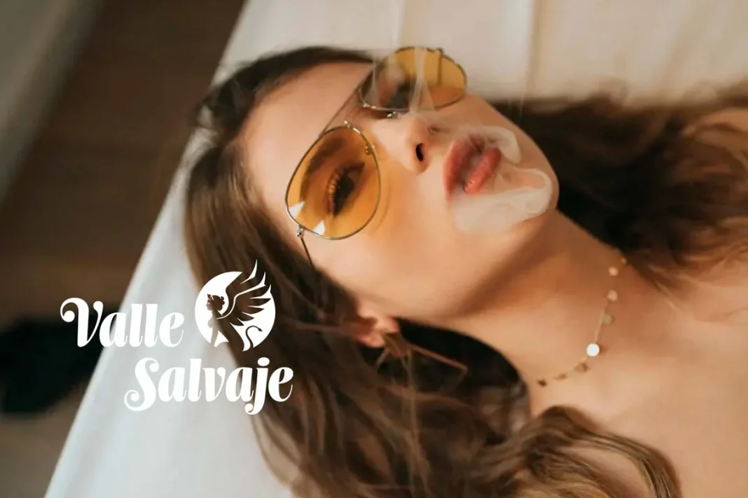 De La Promesa a Valle Salvaje, el personaje que llega para revolucionarlo todo