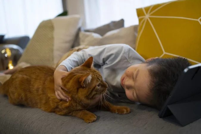 La verdad BRUTAL sobre por qué tu gato te mira fijamente mientras duermes 26 Merca2.es LA COMUNICACIÓN NO VERBAL DEL GATO: MÁS ALLÁ DE LOS MAULLIDOS