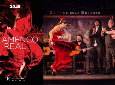 flamenco contemporáneo flamenco contemporáneo