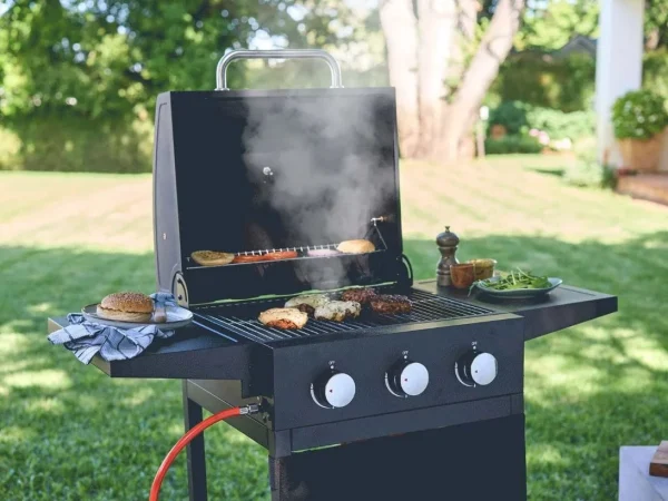 Lidl se adelanta al buen tiempo con este electrodoméstico perfecto para hacer barbacoas al aire libre 89 Merca2.es Un electrodoméstico que se agota en horas