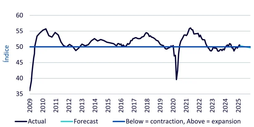 Plata Wisdom Tree3 Merca2.es