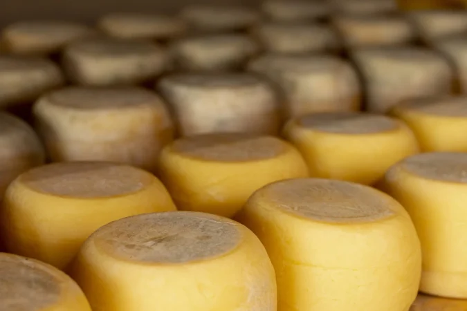 Lo que los fabricantes de este queso han declarado