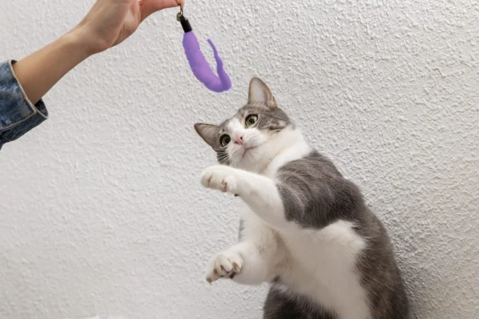 No reutilices ni regales el producto