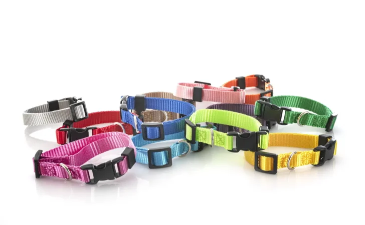 Compra siempre productos veterinarios autorizados y olvídate de comprar en línea