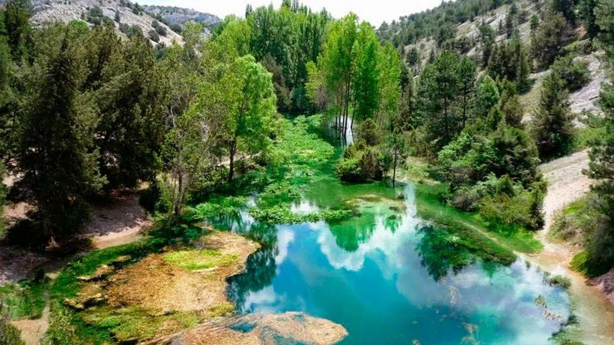 Descubre el «Triángulo de las Bermudas» de Soria: el bosque encantado donde se pierden las ondas, abundan las setas y las leyendas