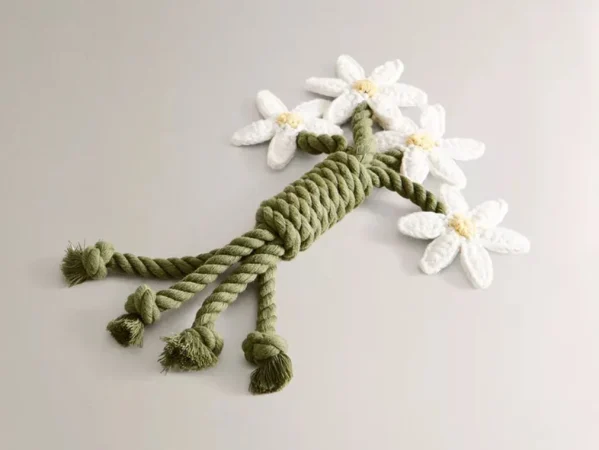 Una propuesta genial para los más consentidos