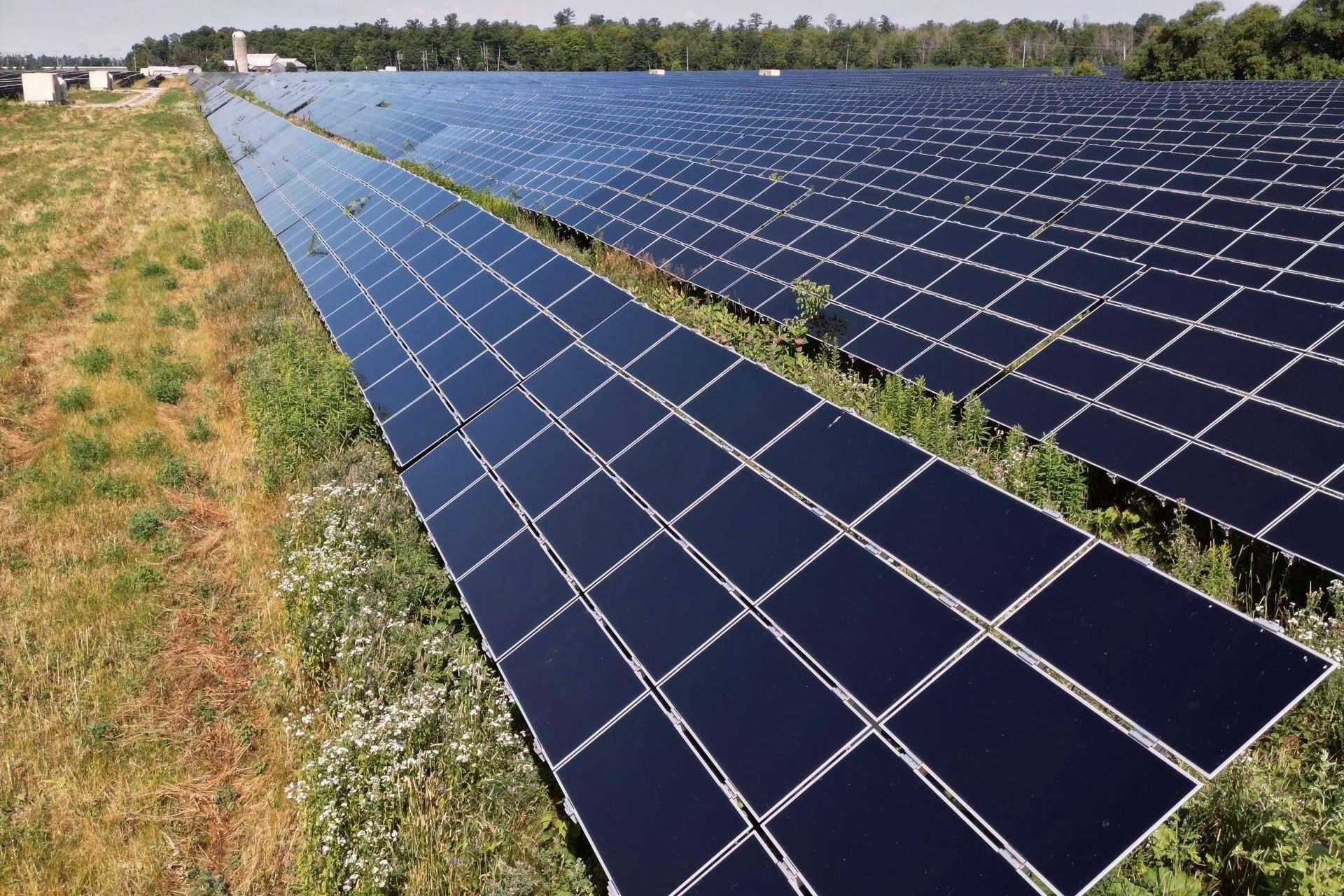 AleaSoft, la revolución fotovoltaica no se detiene; luces y sombras del avance hacia la descarbonización