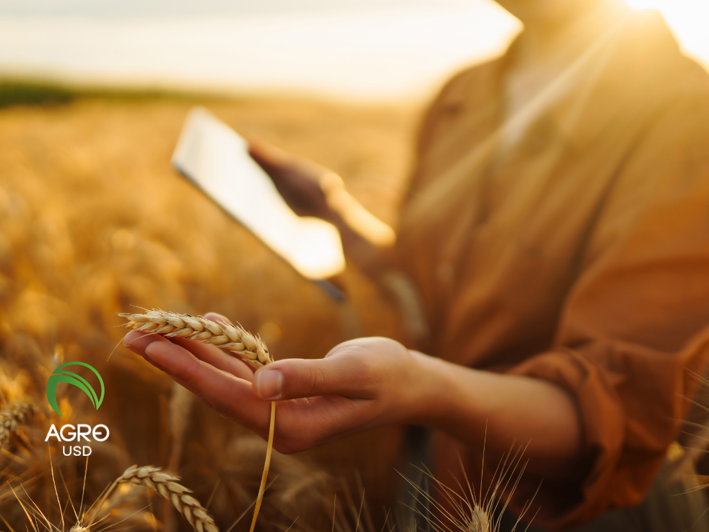 AgroUSD impulsa autonomía financiera en el campo con tecnología diseñada desde la producción