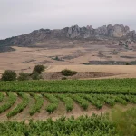El sistema Keyline: la solución sostenible de Bodegas Roda y Bodegas Carmelo Rodero 1 Merca2 El sistema Keyline: la solución sostenible de Bodegas Roda y Bodegas Carmelo Rodero