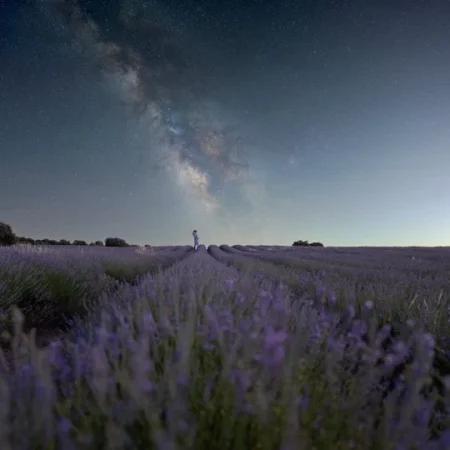 Brihuega Starlight Merca2.es