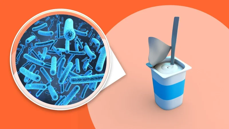 ¿Cómo funciona esta bacteria "milagrosa"?