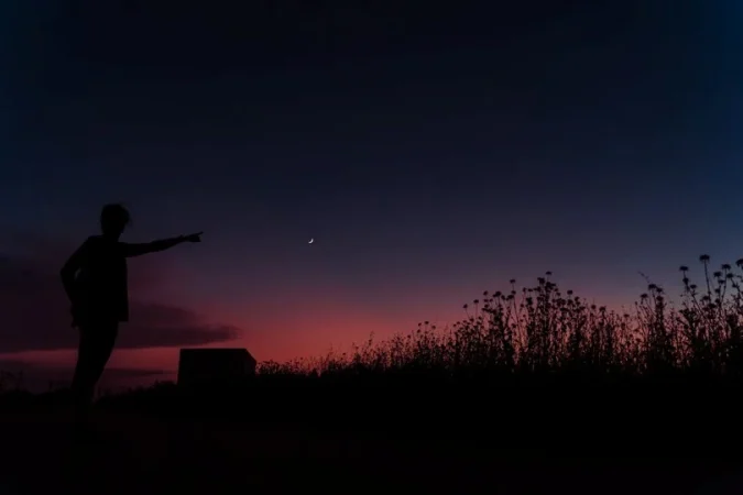 La Roda Starlight Merca2.es